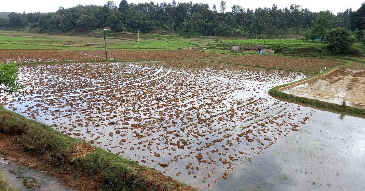 Coorg Coffee Park Farmstay Somvarpet ภายนอก รูปภาพ