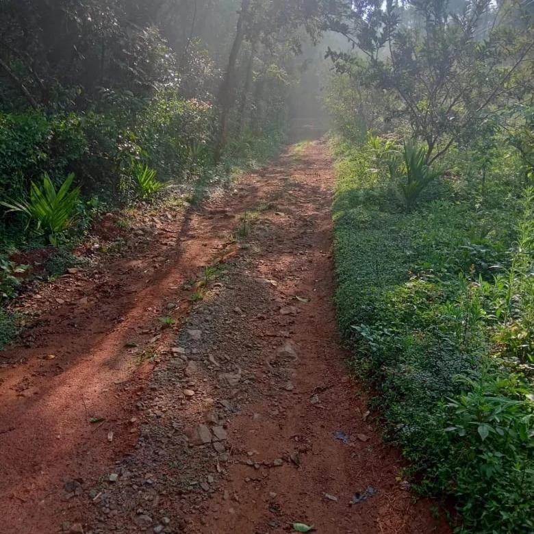 Coorg Coffee Park Farmstay Somvarpet ภายนอก รูปภาพ
