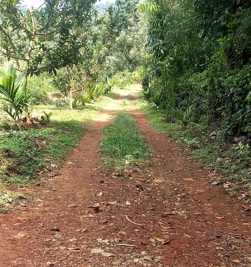 Coorg Coffee Park Farmstay Somvarpet ภายนอก รูปภาพ