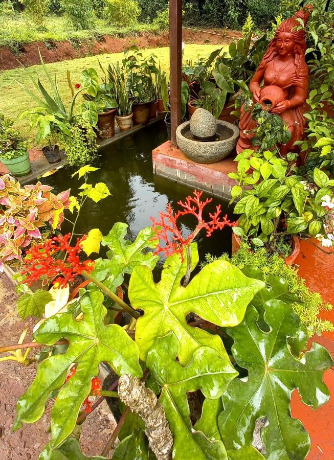 Coorg Coffee Park Farmstay Somvarpet ภายนอก รูปภาพ