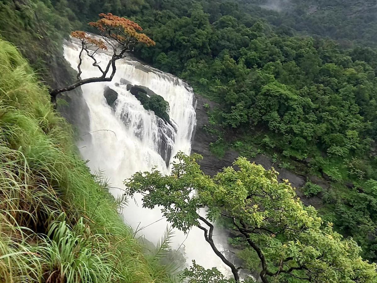 Coorg Coffee Park Farmstay Somvarpet ภายนอก รูปภาพ