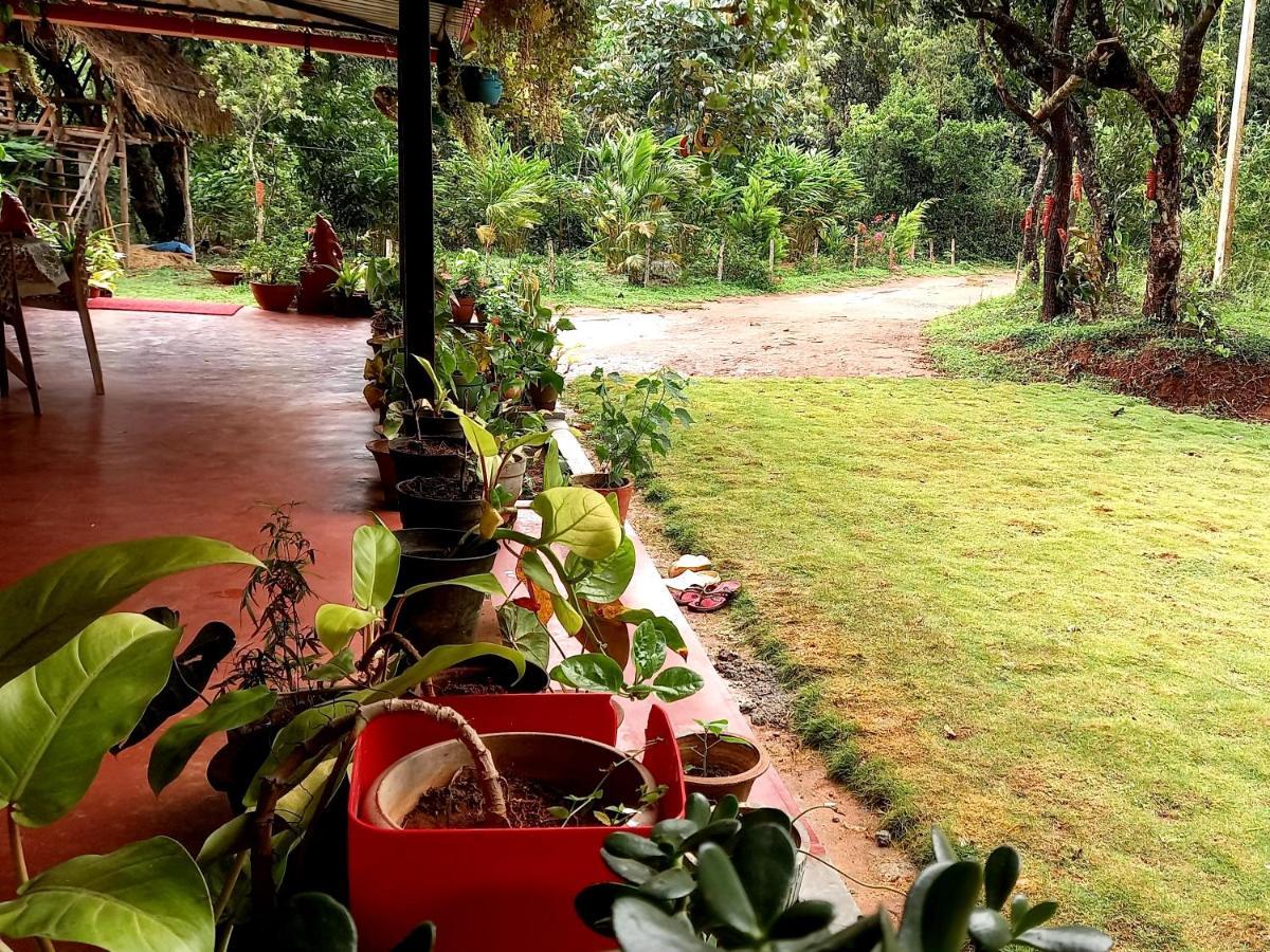 Coorg Coffee Park Farmstay Somvarpet ภายนอก รูปภาพ