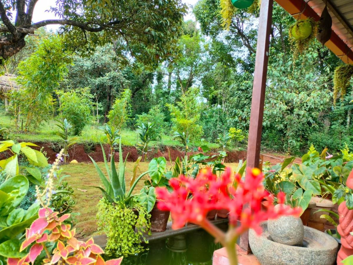 Coorg Coffee Park Farmstay Somvarpet ภายนอก รูปภาพ