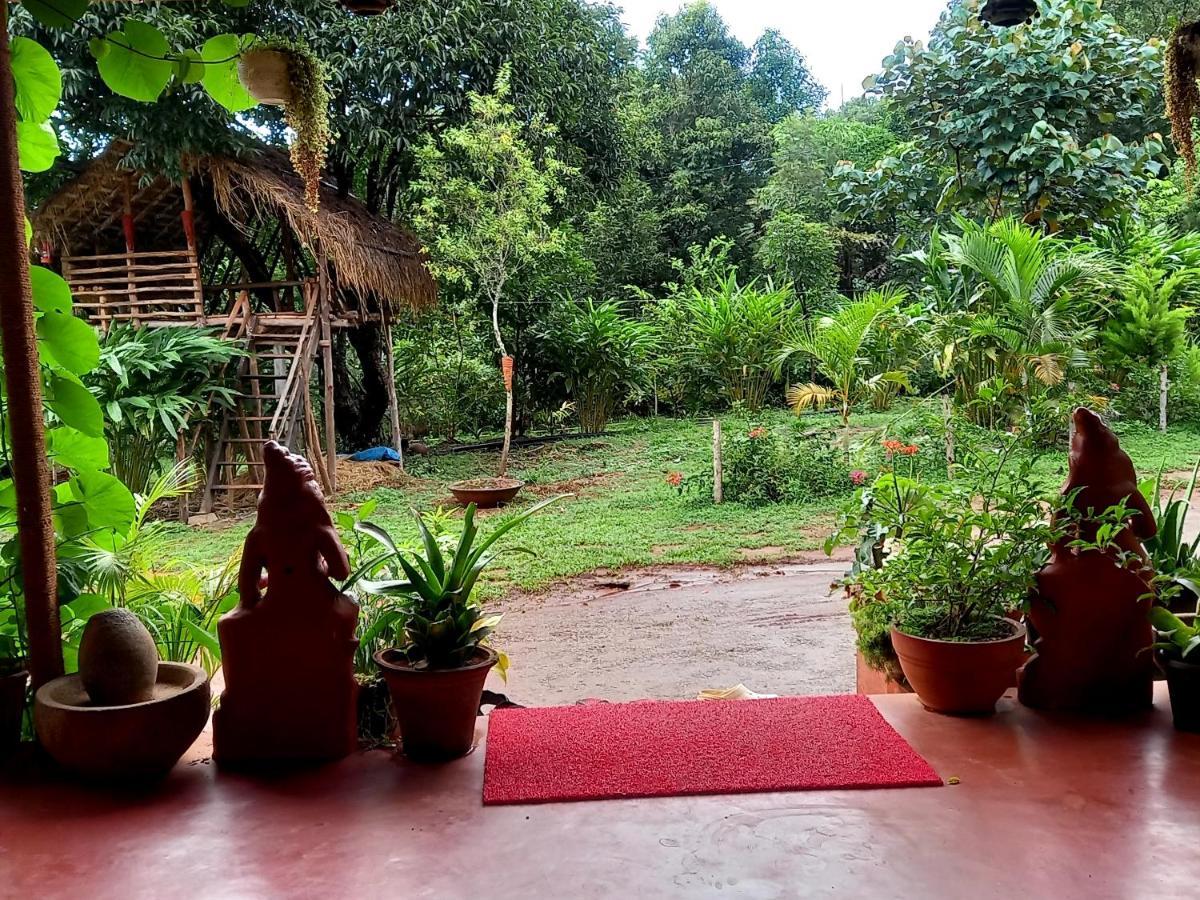 Coorg Coffee Park Farmstay Somvarpet ภายนอก รูปภาพ