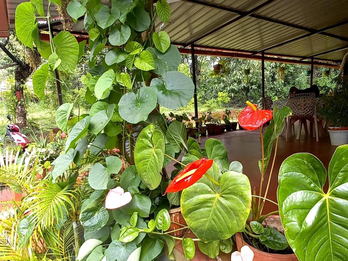 Coorg Coffee Park Farmstay Somvarpet ภายนอก รูปภาพ